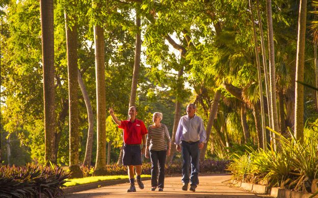 Darwin Morning Sightseeing tour